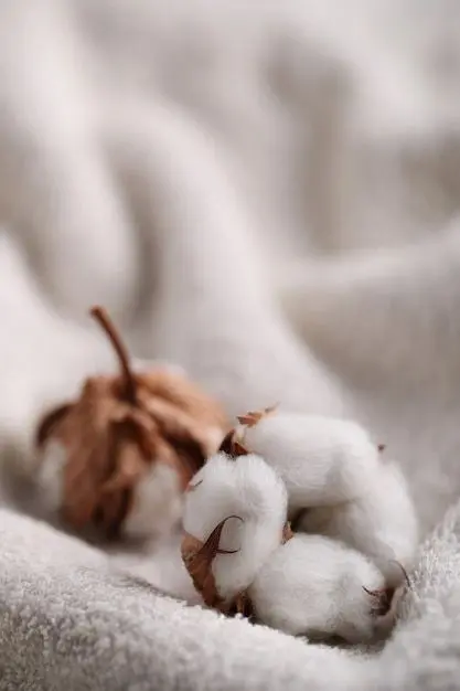 Vải thun Cotton Hữu Cơ - 5 lý do bạn nên lựa chọn 4 Vải thun Cotton Hữu Cơ - 5 lý do bạn nên lựa chọn – Vải Thun Phú Sang