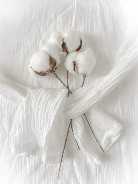 Vải thun Cotton Hữu Cơ - 5 lý do bạn nên lựa chọn 6 Vải thun cotton hữu cơ
