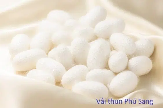 Vải thun cotton lụa