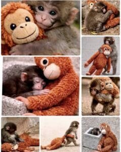 Vải thun may gấu Punch EKa